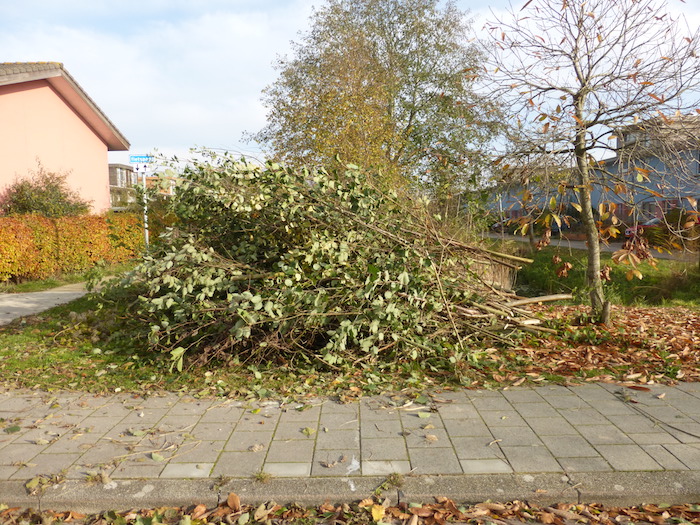 P1060550 kopie