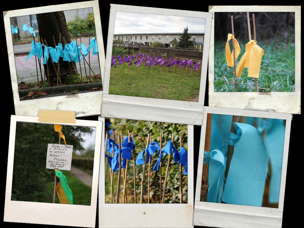 collagegeel